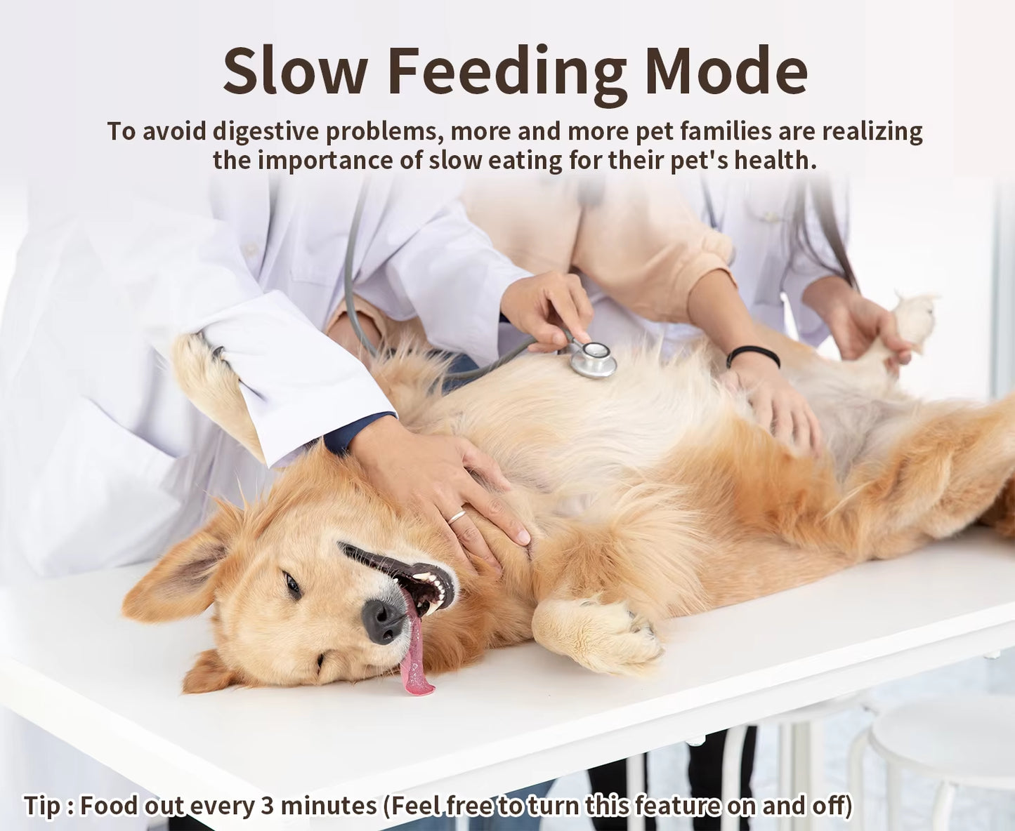 Smart Automatic Pet Feeder (Cats & Dogs) – WiFi App Control
