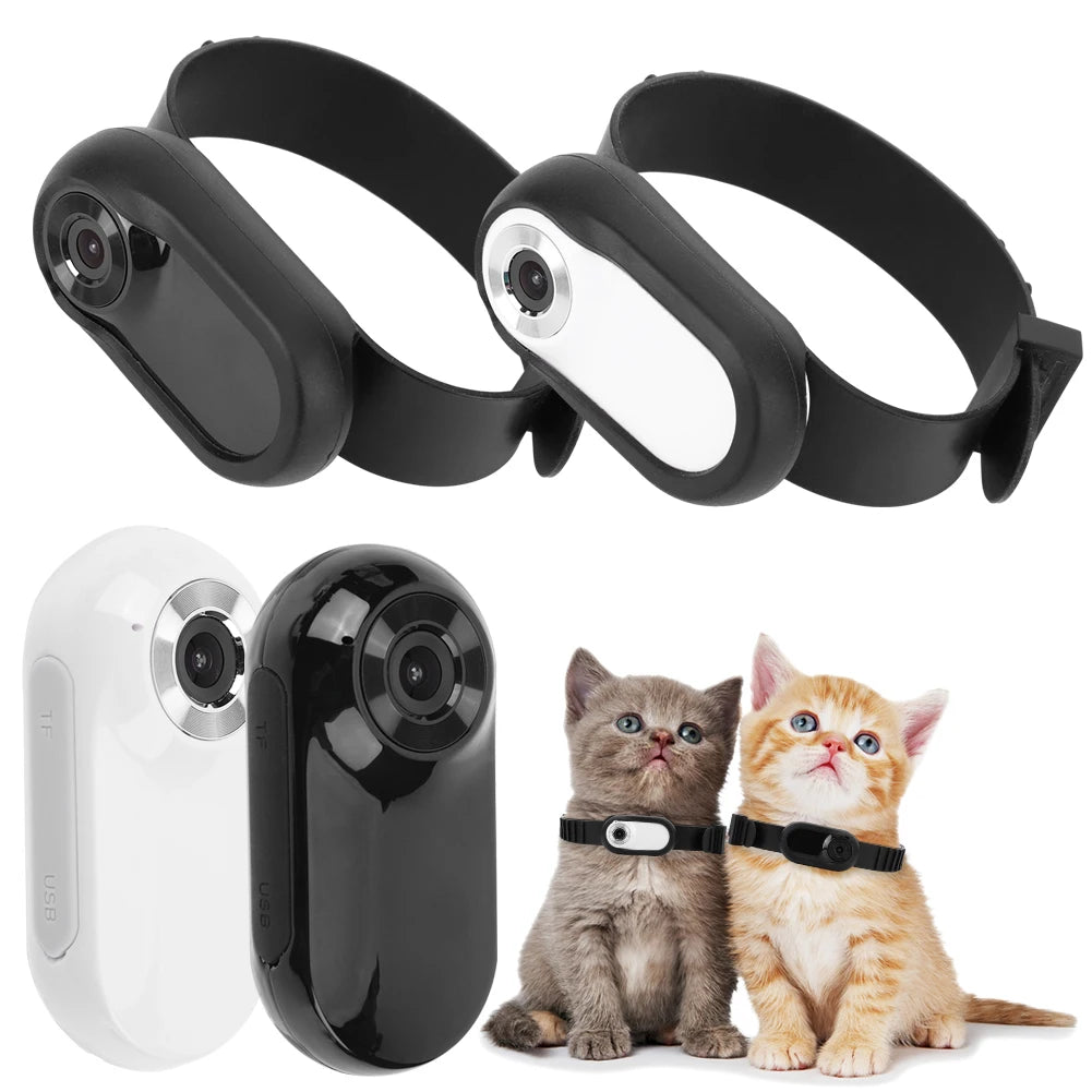 HD Wireless Pet Collar Camera – 1080P Mini Video Recorder (Cats & Dogs, 32GB)