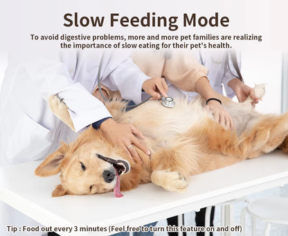 Smart Automatic Pet Feeder (Cats & Dogs) – WiFi App Control